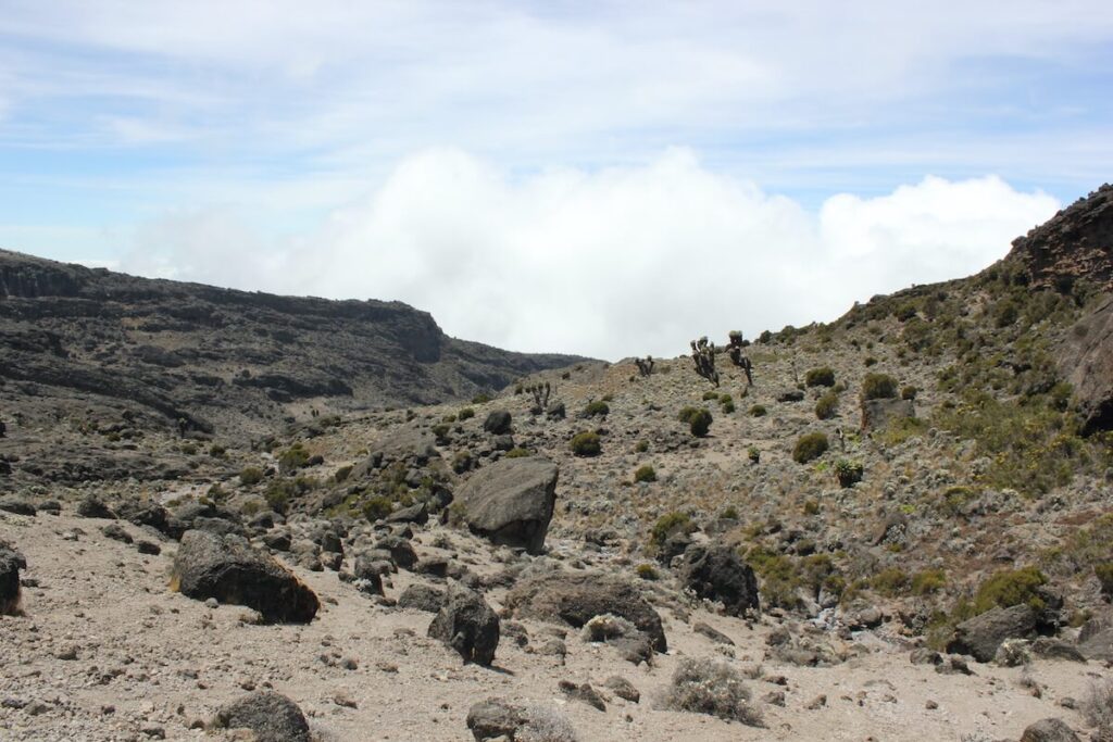 Barafu Roddy 7 Days Umbwe Route – Epic Glacial Photography - Visual Africa Travel